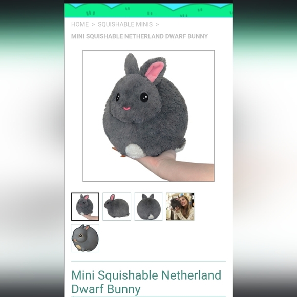 RETIRED 2018 Mini SQUISHABLE Netherland Dwarf Bunny NWT - Picture 12 of 13